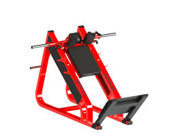 Hack Squat